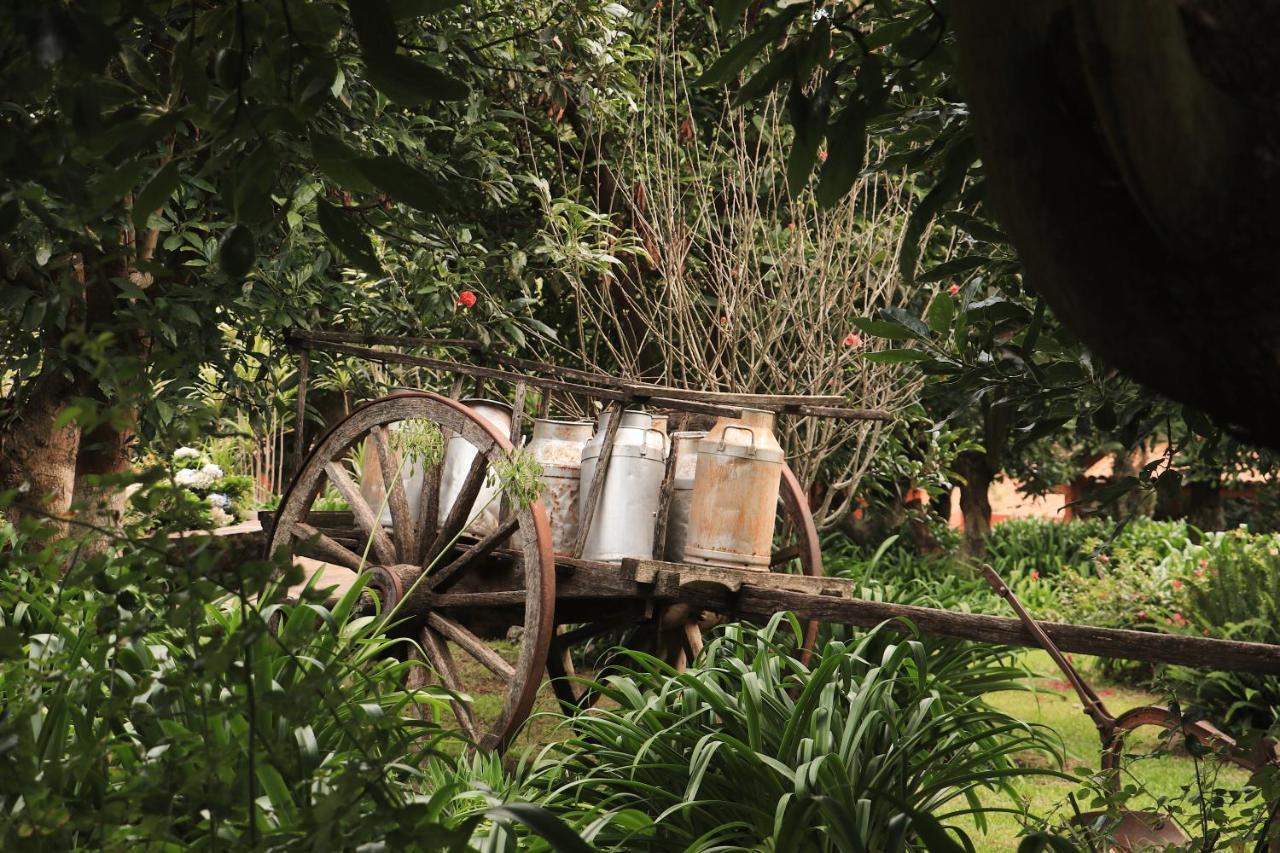 La Huerta Villa Mazamitla Exterior photo